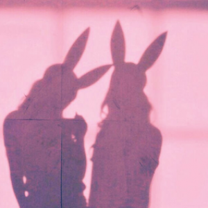 Profile photo of crazyfox